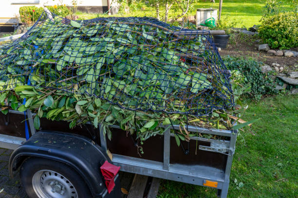 Best Scrap Metal Removal  in Farley, IA